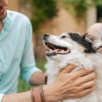 Assurance santé pour chien : ce qu’elle couvre réellement
