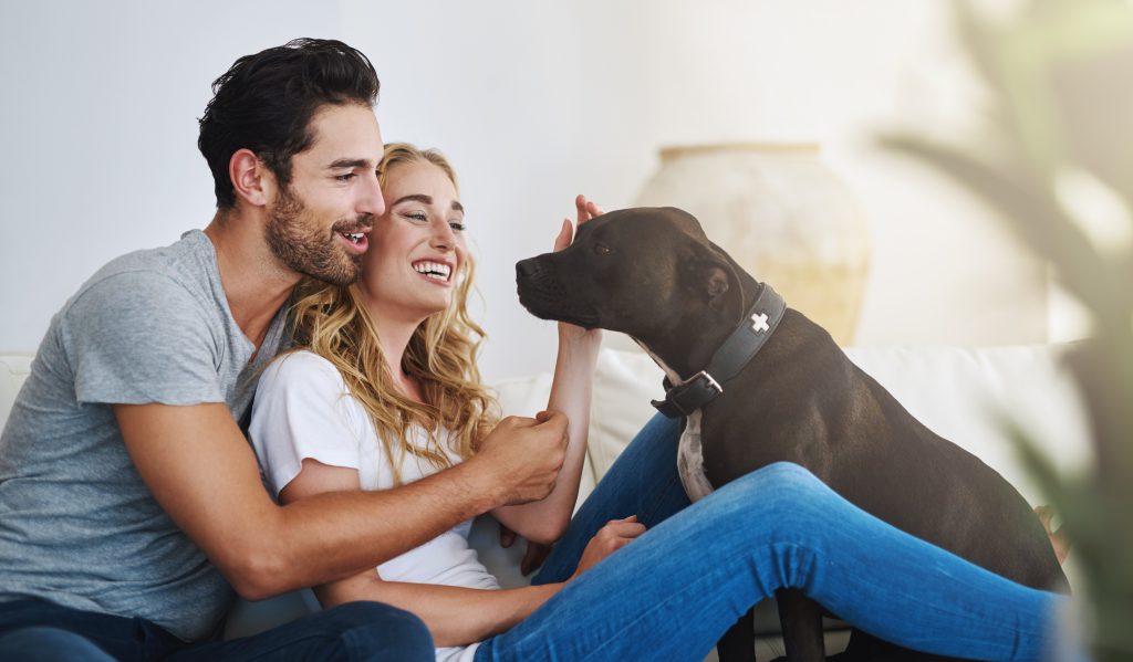 Chien avec son maître