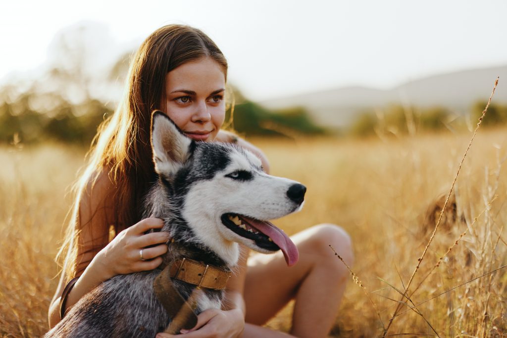 Chien dans la nature avec sa maîtresse