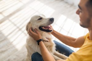 5 choses à savoir sur l&rsquo;assurance pour animaux de compagnie