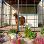 Quel chenil choisir pour son chien ?