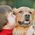 Chiens et enfants : comment construire une relation harmonieuse dès le départ