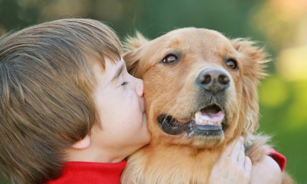 Chiens et enfants : comment construire une relation harmonieuse dès le départ