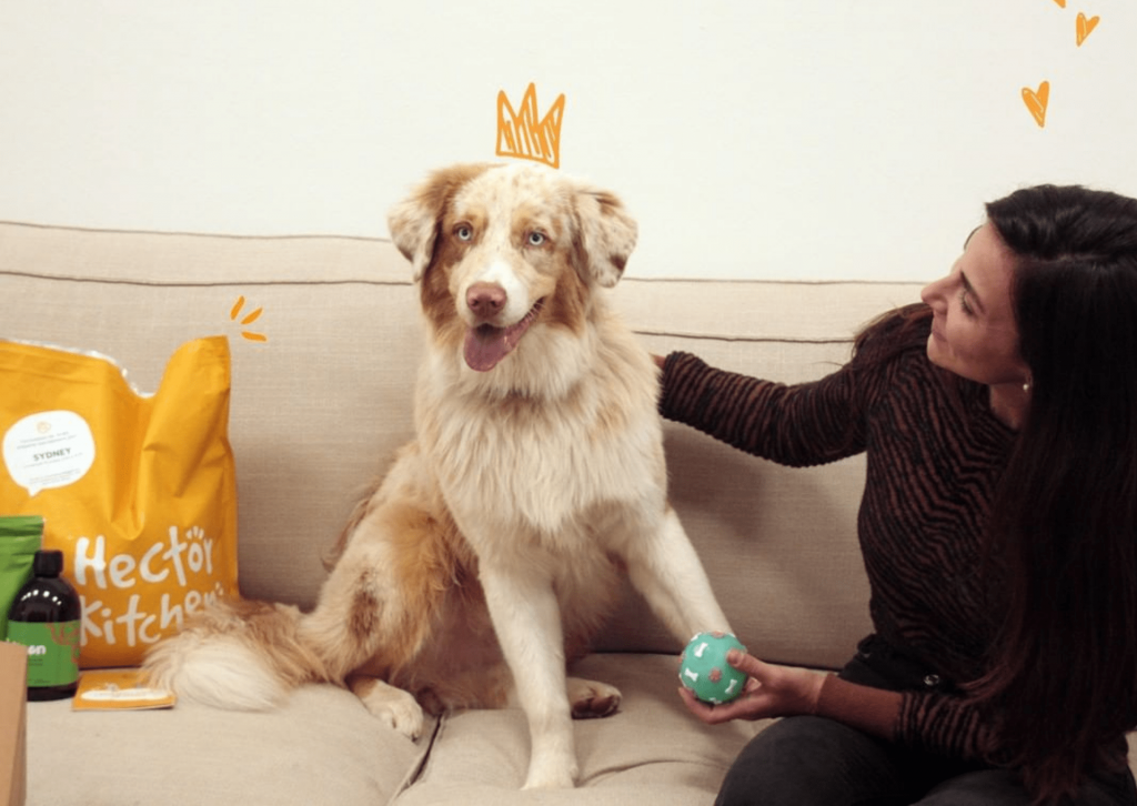 Chien avec croquettes Hector Kitchen