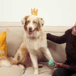 Que valent les aliments Hector Kitchen ?