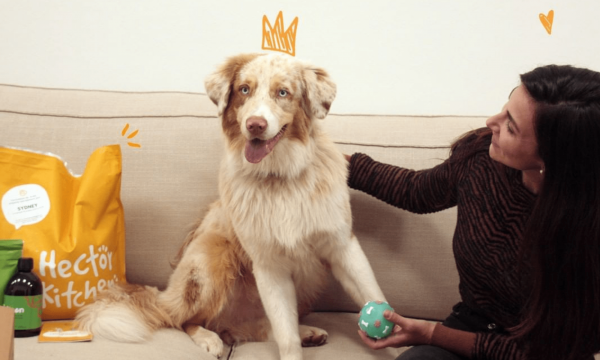 Que valent les aliments Hector Kitchen ?