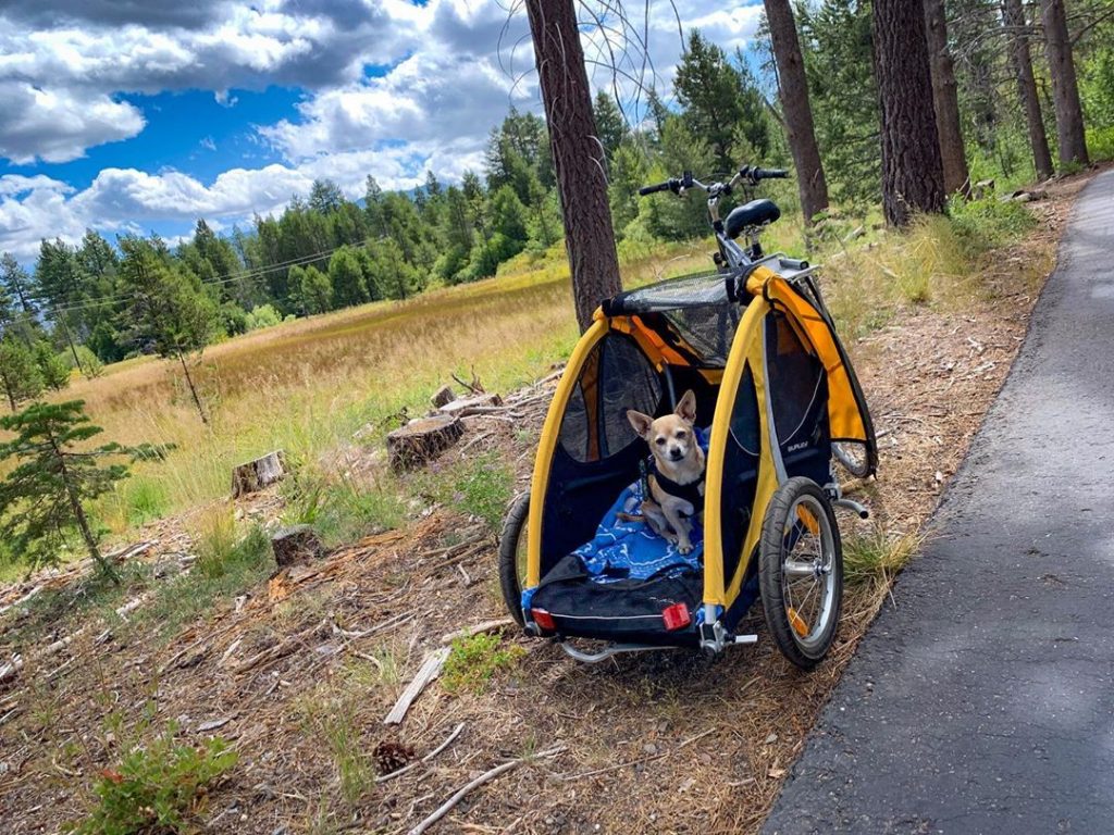 homme sur bicyclette avec son chien qui court a cote