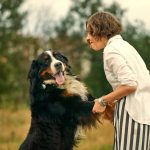 Comment empêcher un chien de sauter sur les gens ?