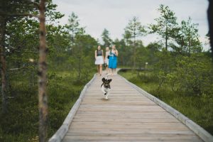 20 idées d’activités à faire avec son chien