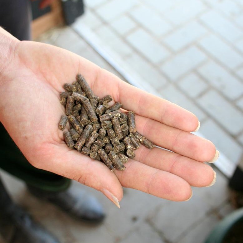 complément alimentaire cheval