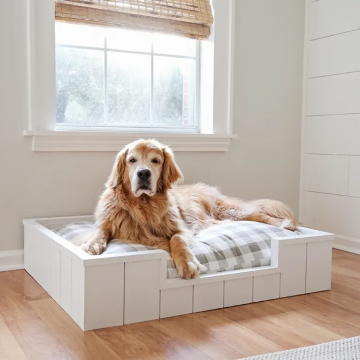 Couchage DIY pour golden retriever