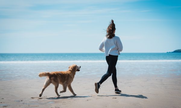 Les sports canins
