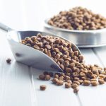 Bien conserver les croquettes de son chien