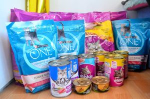 Croquettes ou pâtée pour chat : avantages et inconvénients