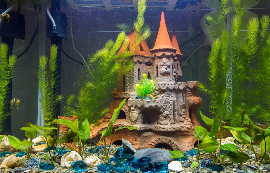 Chateau dans un aquarium