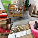 DIY : 20 idées pour créer soi-même un panier pour chien ou chat
