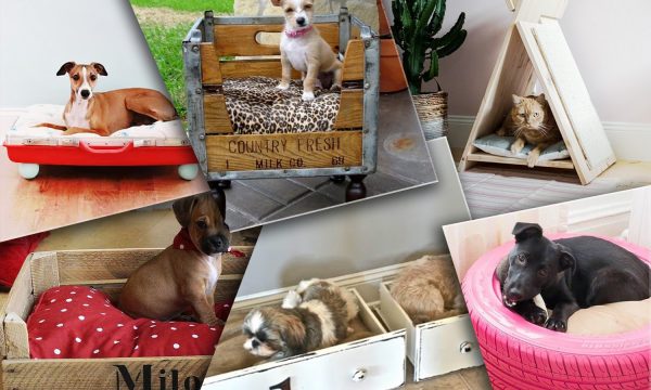 DIY : 20 idées pour créer soi-même un panier pour chien ou chat