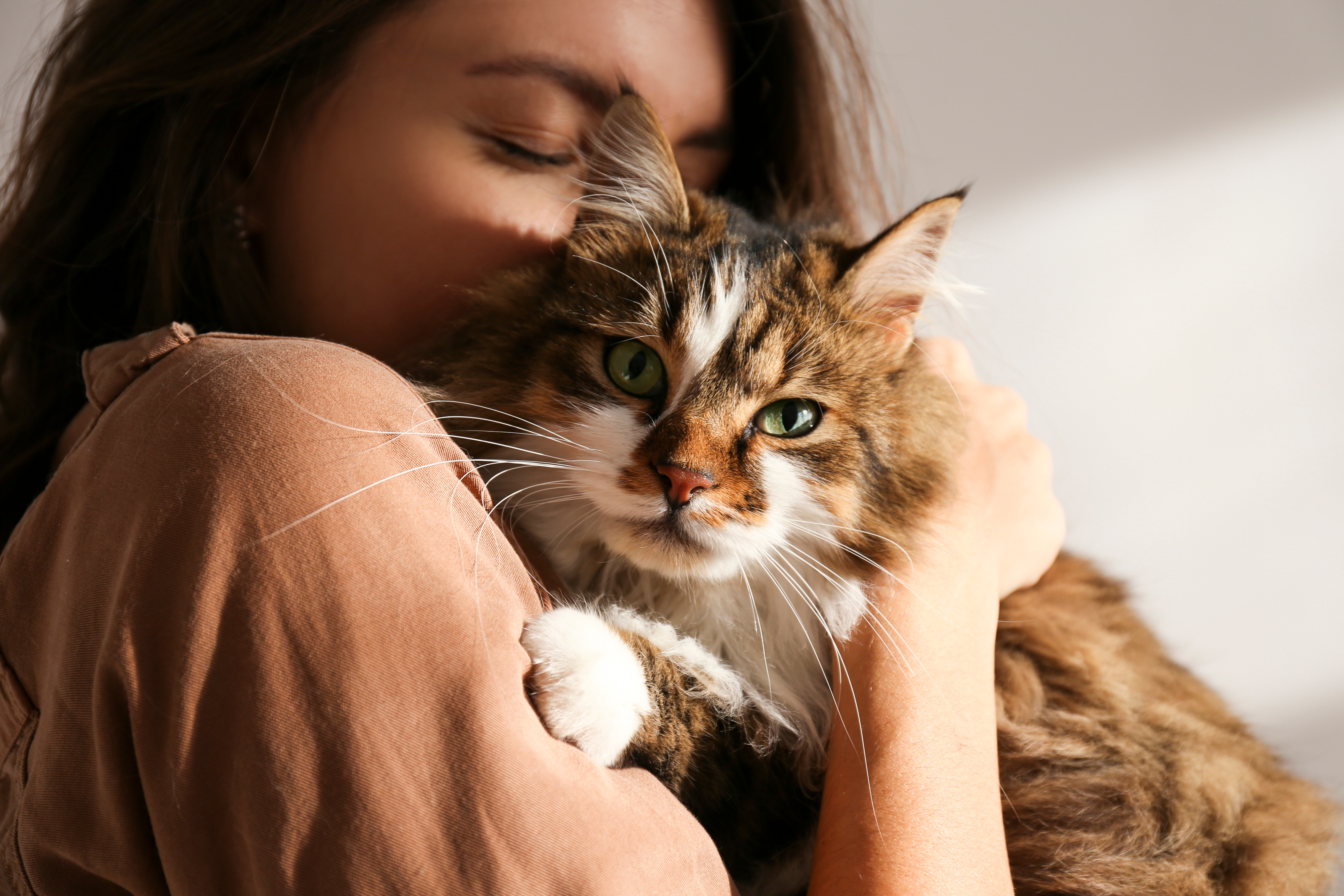 Femme avec son chat dans les bras