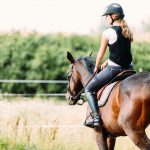 Débuter l’équitation : 7 bonnes raisons de commencer