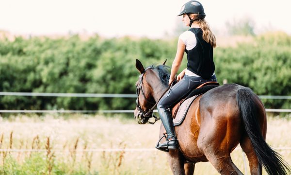 Débuter l’équitation : 7 bonnes raisons de commencer