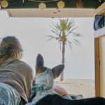 Voyager en van avec son chien : Guide complet