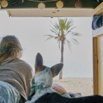 Voyage en van avec son chien : Tout Savoir avant de partir