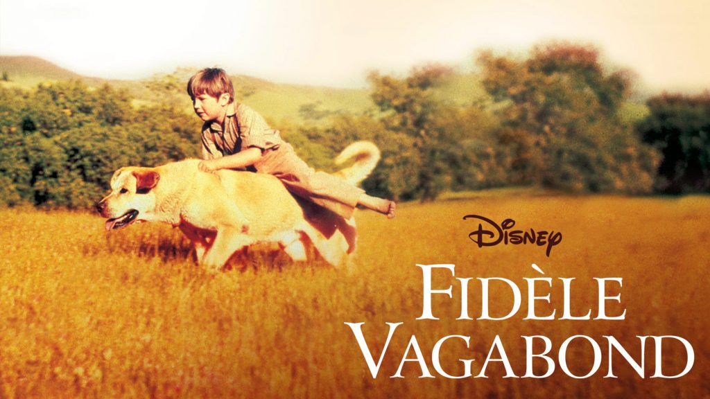 Film Fidèle Vagabond