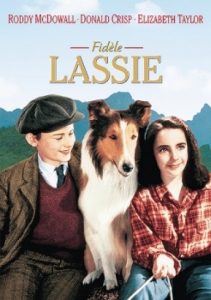 fidèle lassie