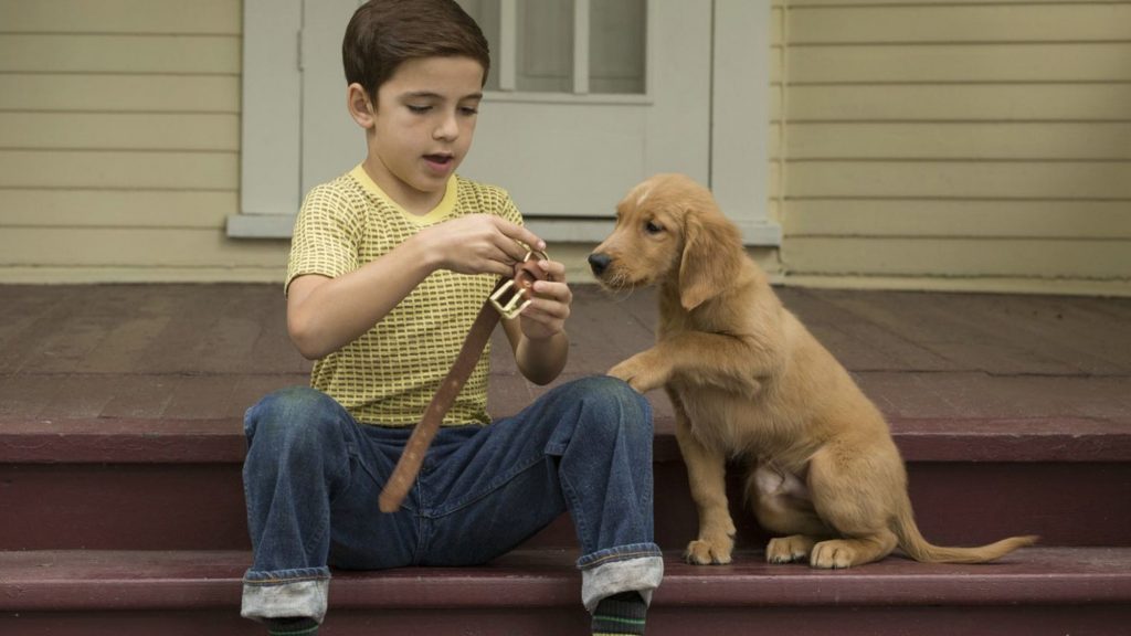 Film Mes vies de chiens