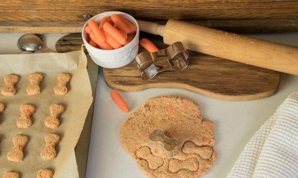 Recette de friandises pour chien au boeuf et aux carottes