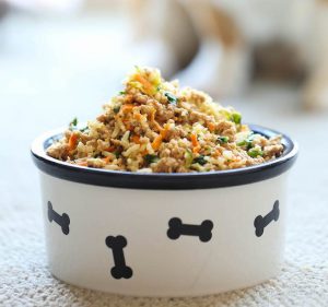 Cuisiner pour son chien : ce qu&rsquo;il faut savoir