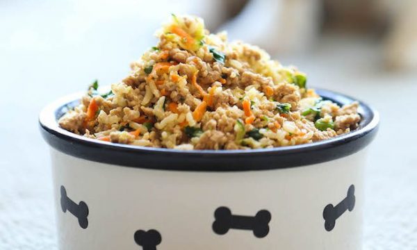 Cuisiner pour son chien : ce qu’il faut savoir