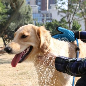 nettoyage du chien avec la brosse jet