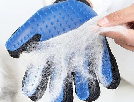Un gant brosse pour retirer les poils est-il efficace ?