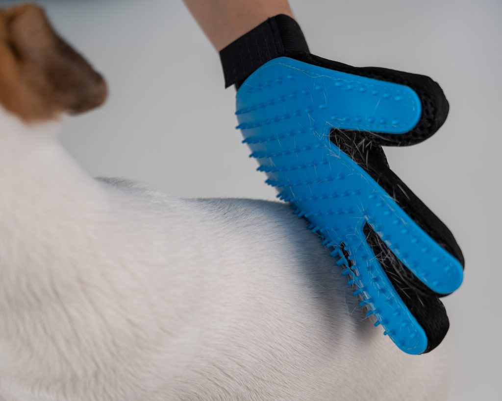 Gant pour retirer les poils d'un chien