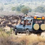 Kenya : Quels Animaux voir durant votre voyage ?