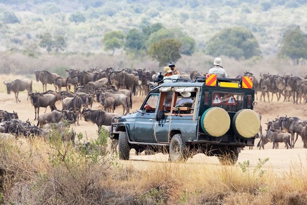 Quels animaux voir au Kenya ?