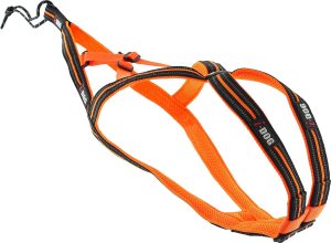 Harnais de traction pour chien