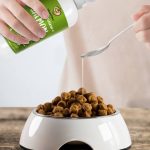 Huile de saumon pour chien : bienfaits et dosage