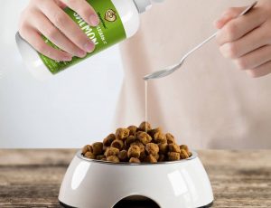 Huile de saumon pour chien : bienfaits et dosage