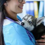 Frais vétérinaires : faut-il souscrire à une assurance santé pour son chien ?