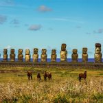 Quels animaux voir sur l’île de Pâques ?