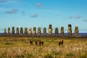 Quels animaux voir sur l&rsquo;île de Pâques ?