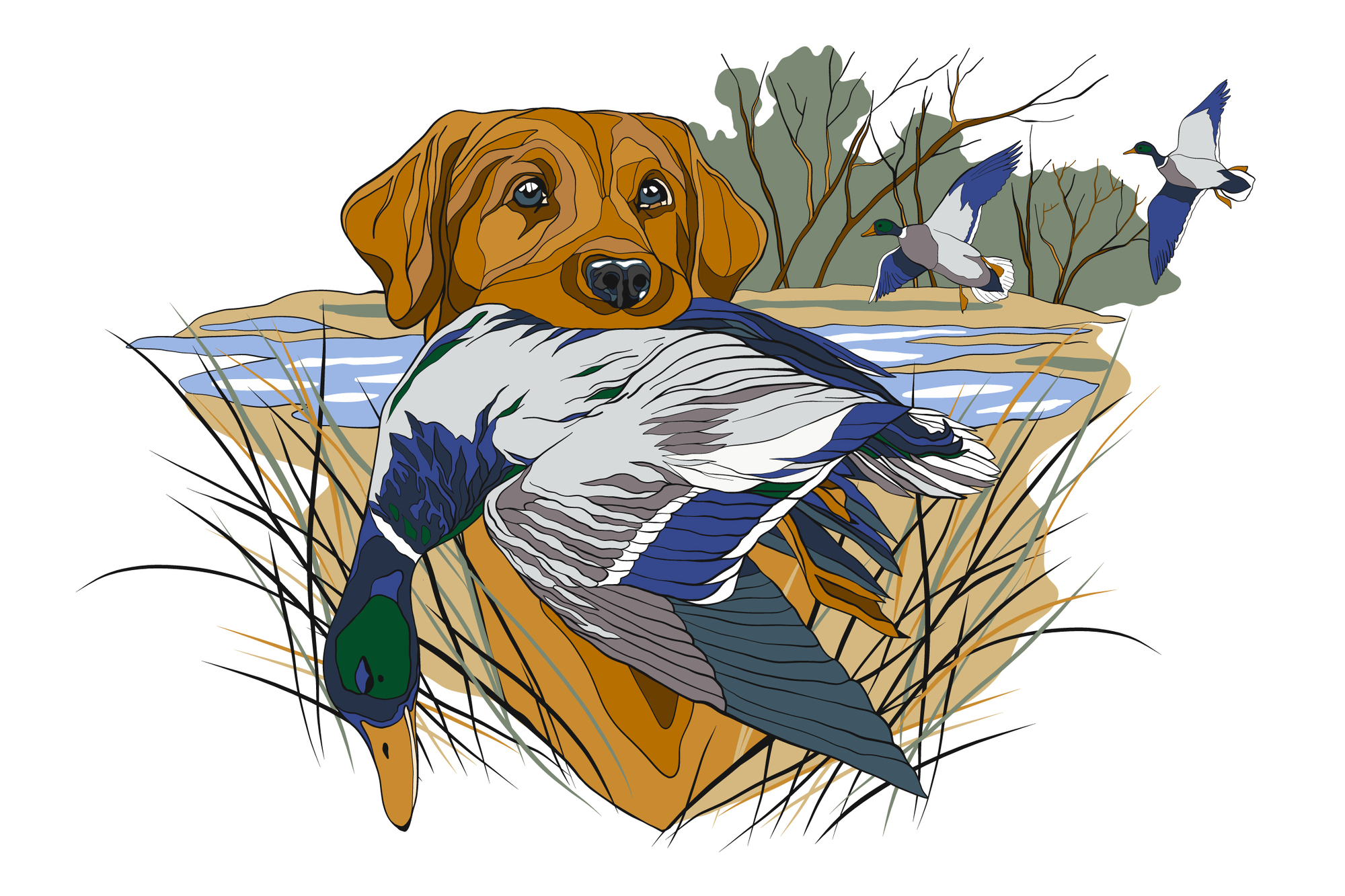 Illustration chiens de chasse