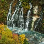 Quels animaux voir au Japon ?