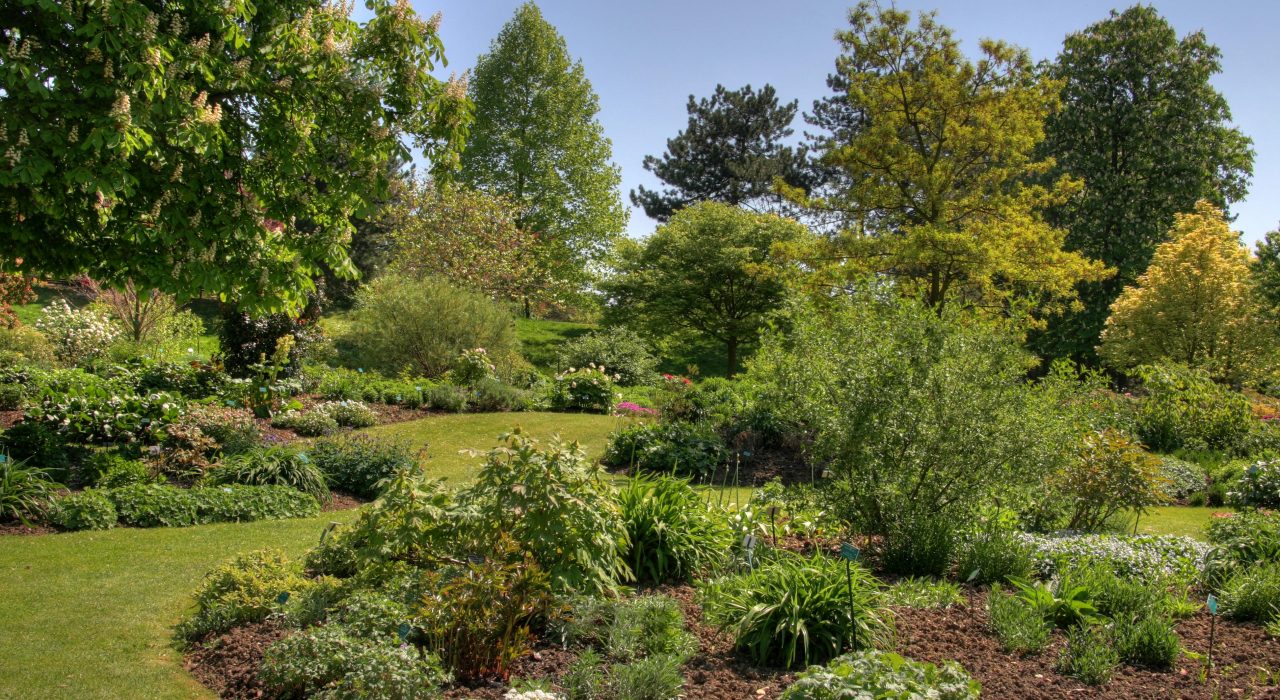 Les jardins landais : un refuge pour la biodiversité