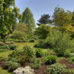 Les jardins landais : un refuge pour la biodiversité