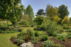 Les jardins landais : un refuge pour la biodiversité