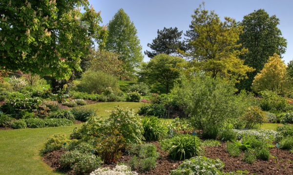 Les jardins landais : un refuge pour la biodiversité