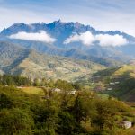 Quels animaux voir à Bornéo ?